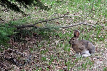 IMG_5639.JPG